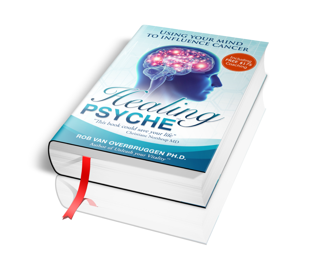 Healing Psyche - Rob van Overbruggen Ph.D.
